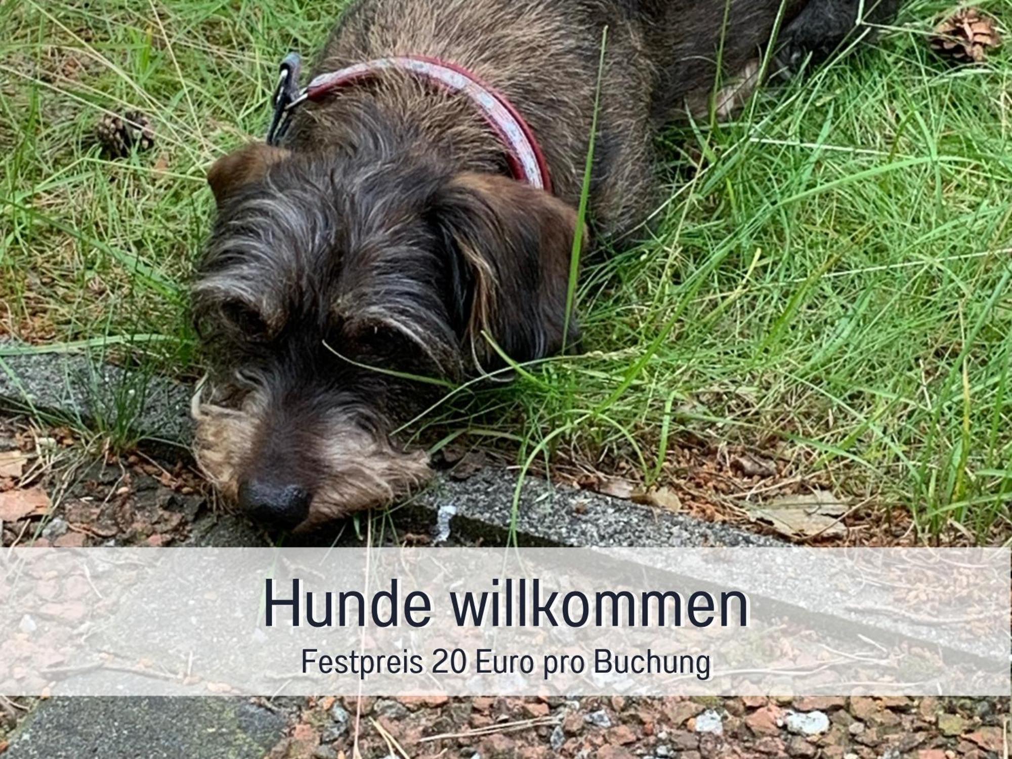 Ferienhaus Dackelglueck Schmallenberg Luaran gambar