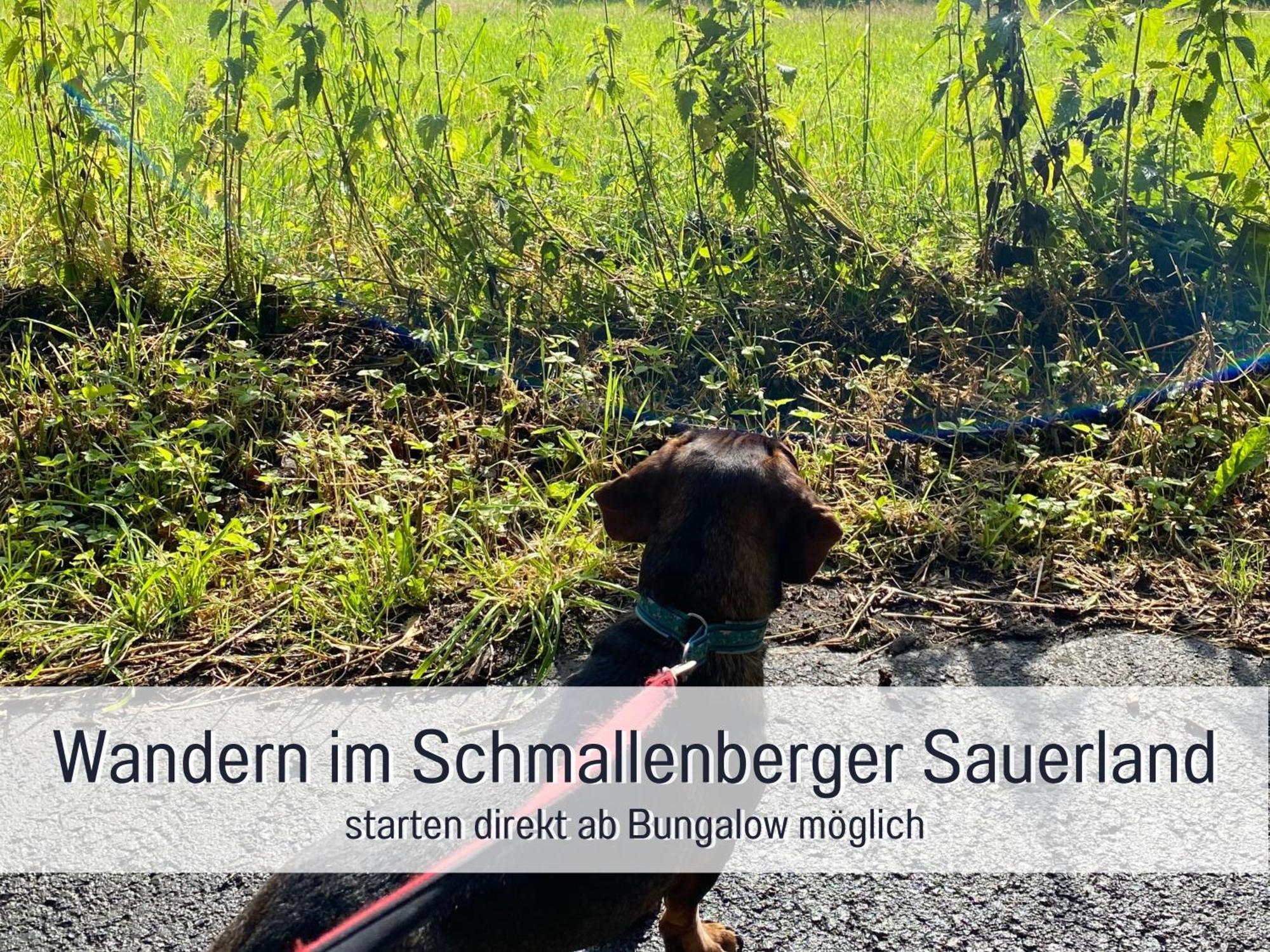 Ferienhaus Dackelglueck Schmallenberg Luaran gambar